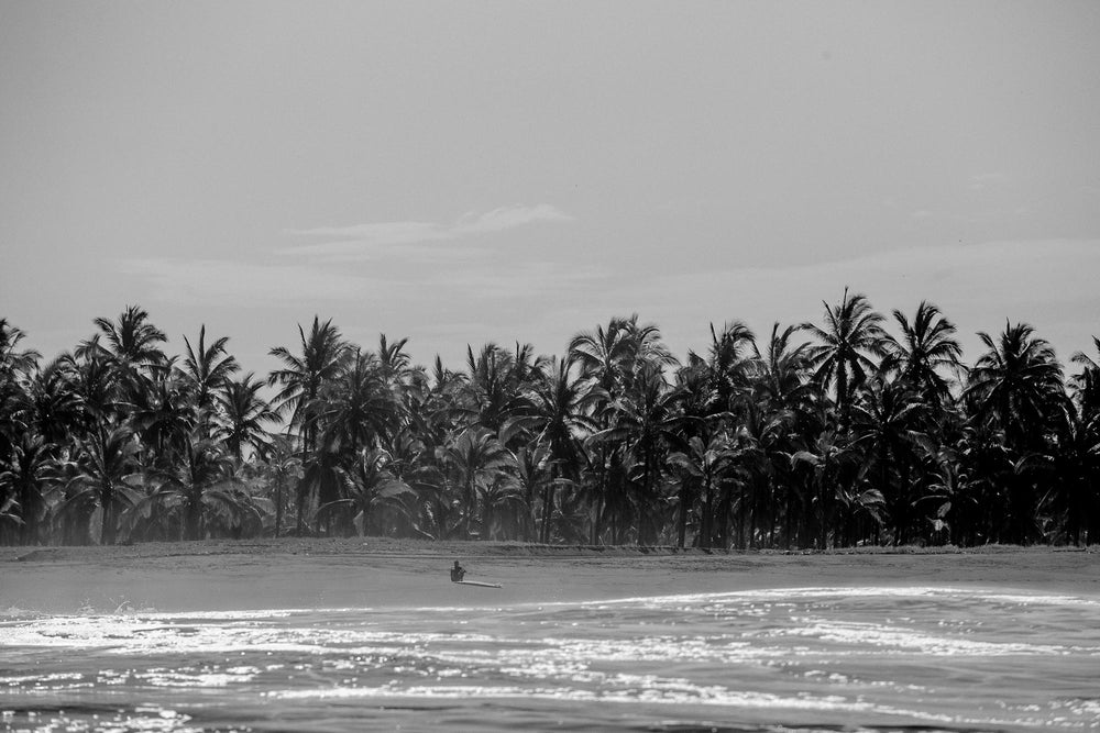 Person in a small boat on a beach with palm trees in the background