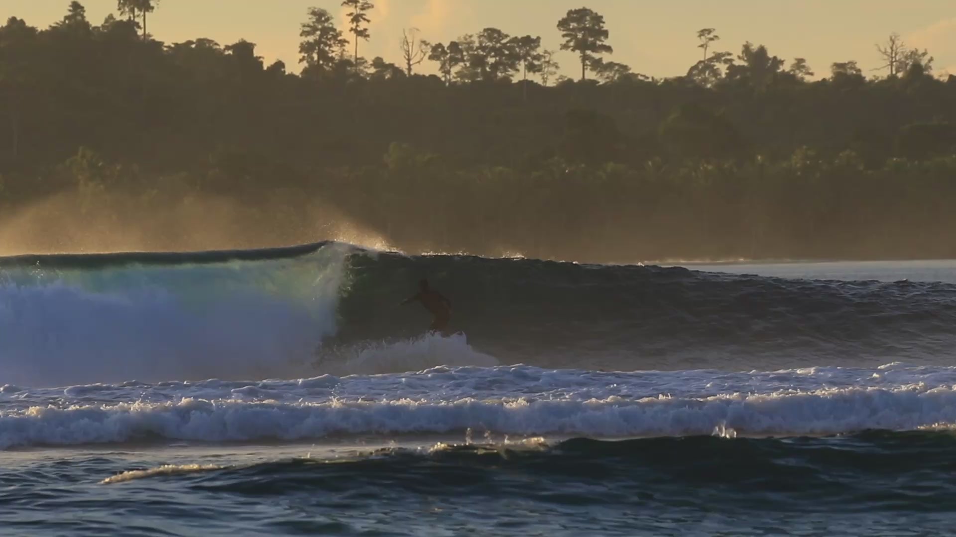 La Jolla Group Lifestyle brands video collage